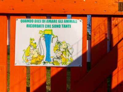 ...E Cochino � diventato un simbolo di questo parco: un esemplare che viene allevato solo per essere mangiato, ma capace di regalare compagnia e conforto. Un essere che ha il diritto, come gli altri, di vivere in libert�. Perch�, come recita il cartello all�ingresso, �se dici di amare gli animali, ricordati che sono tanti��